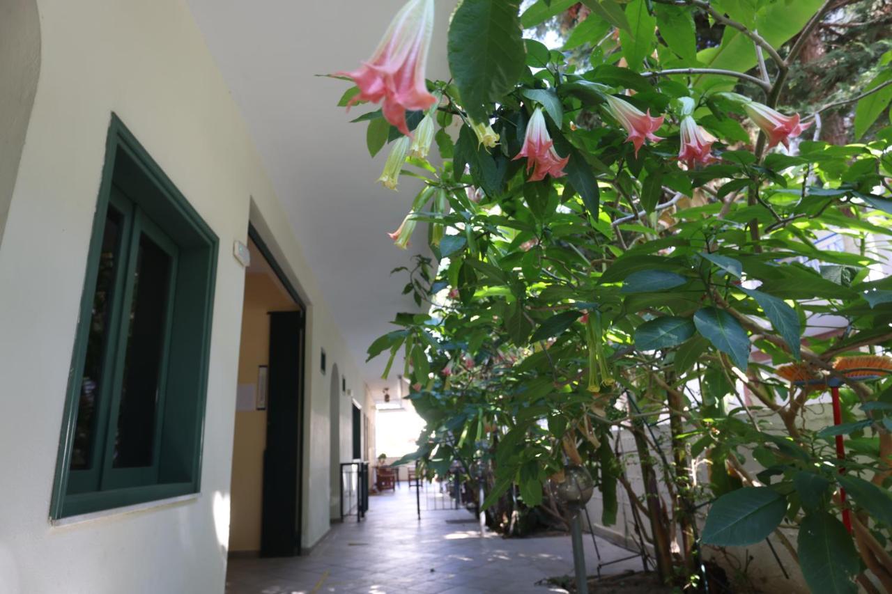 بوليخرونو Spanos Apartments Anna'S Lodge المظهر الخارجي الصورة